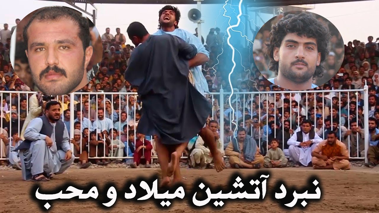 نبرد قدیمی وتماشایی/  میلاد جمشیدی و محب رحمانی