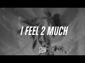 Miniature de la vidéo de la chanson I Feel 2 Much