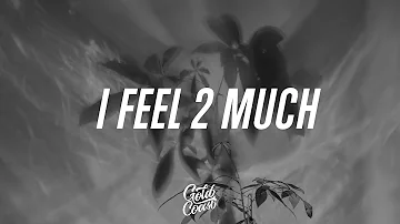 blackbear - I Feel 2 Much (Lyrics)