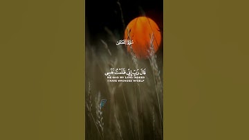 تلاوة من سورة القصص القارئ رعد الكردي