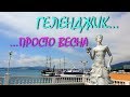 ГЕЛЕНДЖИК... ОБЫЧНЫЙ ВЕСЕННИЙ ДЕНЬ КУРОРТНОГО ГОРОДА... 25 апреля 2019...