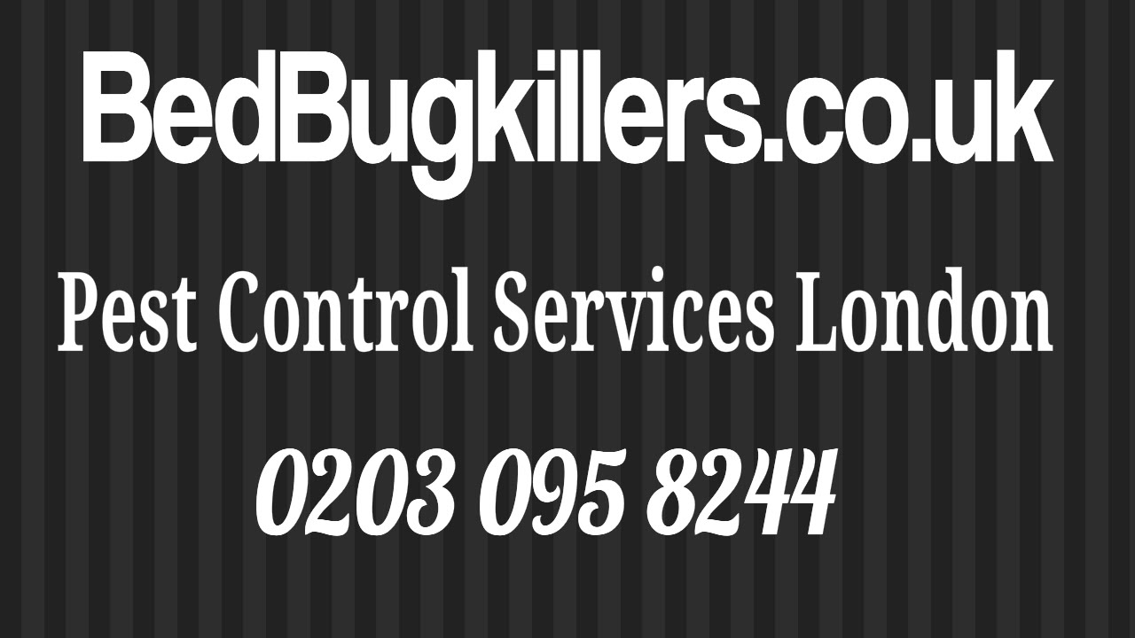 Pest Control Supplies Earlsfield