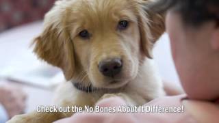 RochToyota: No Bones About It Difference
