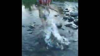 ອາຫານທໍາມະຊາດ ແຊບອີຫຼີ
