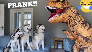 Dinosaur Prank On My Huskies & Kids! [BEST REACTION EVER!!] [PRANK]