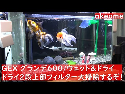 mozuku - YouTube