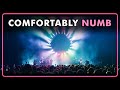 Pink floyds comfortably numb from the wall  performed by the australian pink floyd show
