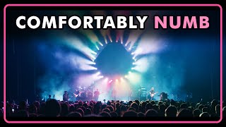 Pink Floyd's Comfortably Numb From The Wall - Performed By The Australian Pink Floyd Show