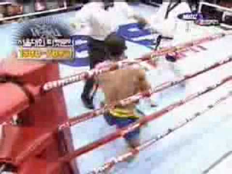 Z Tae Kwon Do Vs Muay Thai