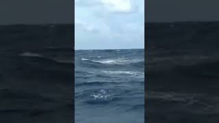 Ombak Menghantam  Kapal Pencari Tuna