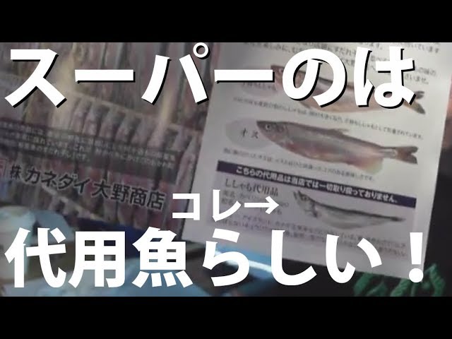 柳葉魚って読める？俺は読めない！鵡川のししゃも最高！ - YouTube