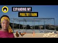 Expanding my poultry farm in ghana from 8000 birds to 250000  birds