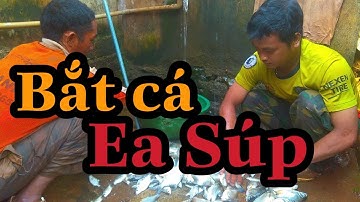 Nông dân có gì vui - Dí cá ea súp và cái kết