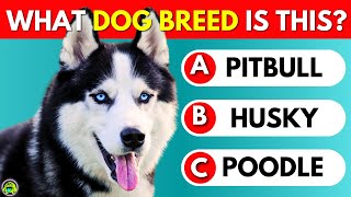Guess The Dog Breed Quiz 🐶 by Quiz Monster 15,313 views 2 months ago 8 minutes, 17 seconds