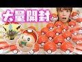 モンスターボールからぬいぐるみ！？ポケモンのプチぬいぐるみを大量開封してみた結果・・・コンプリート！？【購入品紹介】