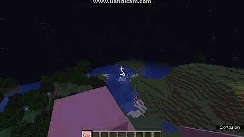 Collection of Stupid Things 1.14.4 Fabric Mod Overview (Pig Launchers... and more to come)