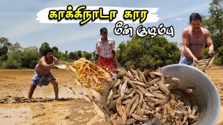 Tamil Cooking Videos