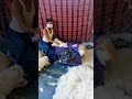 Cotton Opener Machine Shorts Cotton Machine Viralvideo