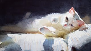 Watercolor painting a cat  light and shadow