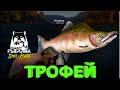 Русская рыбалка 4.🎣 ТРОФЕЙ ГОРБУША🐠 ЛАЖА с РЕКОРДОМ 👀