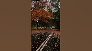 سورة السجدة اسلام صبحي  #explore  #قرآن  #islam_sobhi  #حالات_واتس #tilawat