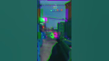 The MINIBAK Is The BEST Gun In MW2!