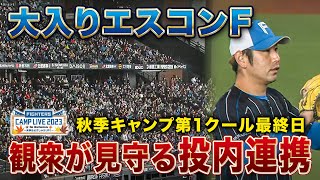 連日観客1万人以上！3連休最終日第1クール最終日の投内連携＜11/5ファイターズ秋季キャンプ2023＞