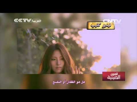 فيديو كليب صيني بسبب الحب