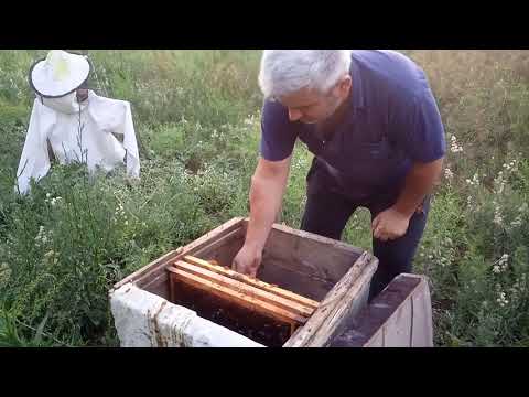 Video: Birləşdirmənin məqsədi nədir?