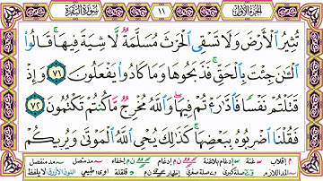 القرآن الكريم مقسم صفحات | الشيخ حاتم فريد | سورة البقرة | صفحة 11 مكتوبة | مصحف التجويد الملون HD