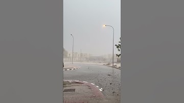 #القارئ #islamicvideo #اكسبلور #المصحف #rainyday