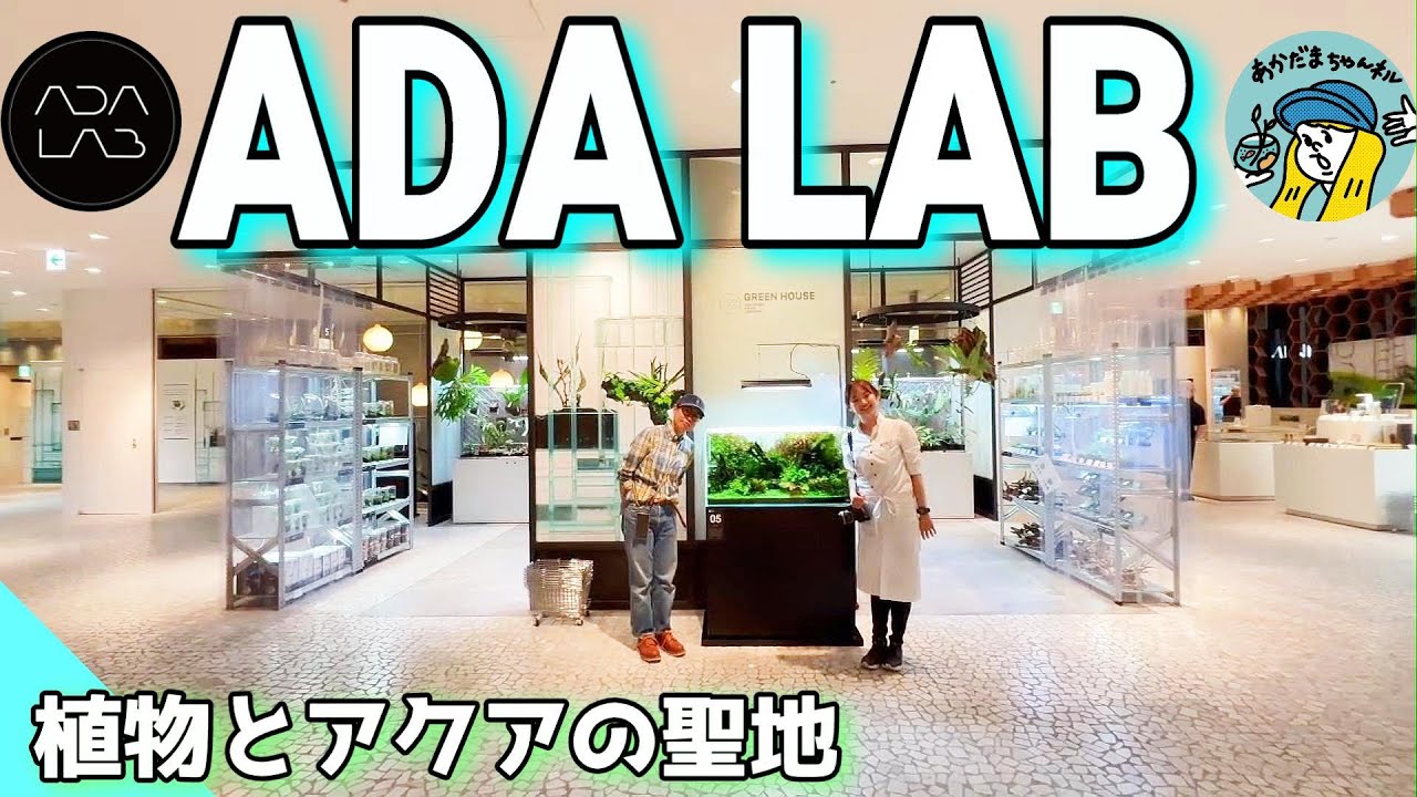 【アクアリウム】行った気になるADALAB！植物とアクアリウムの聖地ADALAB（ADAって何？珍しい植物を見てみたい！スタッフさんとの熱いトークは必見デス！）