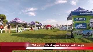 Demogarden 2014 - Pisa - Parco San rossore