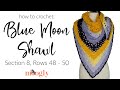 How to Crochet: Blue Moon Shawl Section 8, Rows 48 - 50 (Right Handed)