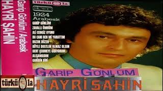 Hayri Şahin - Garip Gönlüm