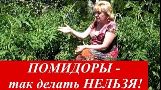 ПОМИДОРЫ -ТАК ДЕЛАТЬ НЕЛЬЗЯ !(, 2016-07-16T19:10:07.000Z)