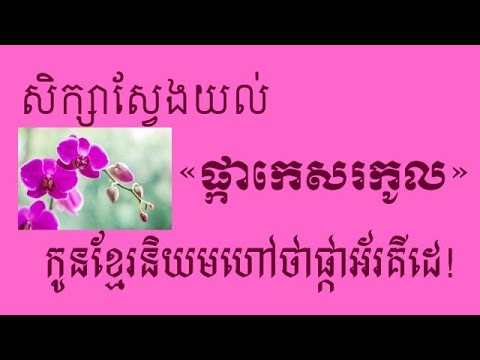 សារៈសំខាន់នៃការអភិរក្សផ្កាកេសរកូលនៅកម្ពុជា