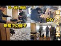 柴犬くま太　新居での様子と皆んなで引っ越し焼肉