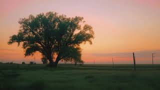 Download Lagu Abdullah Aljarallah - Fiya Hubbun (Sped up) | Nasheed | Vocals Only MP3