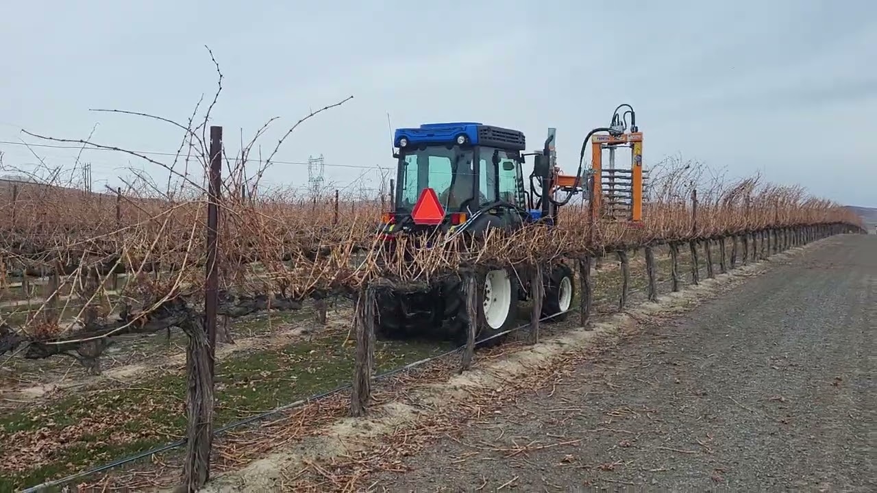 Provitis Pre Prunner