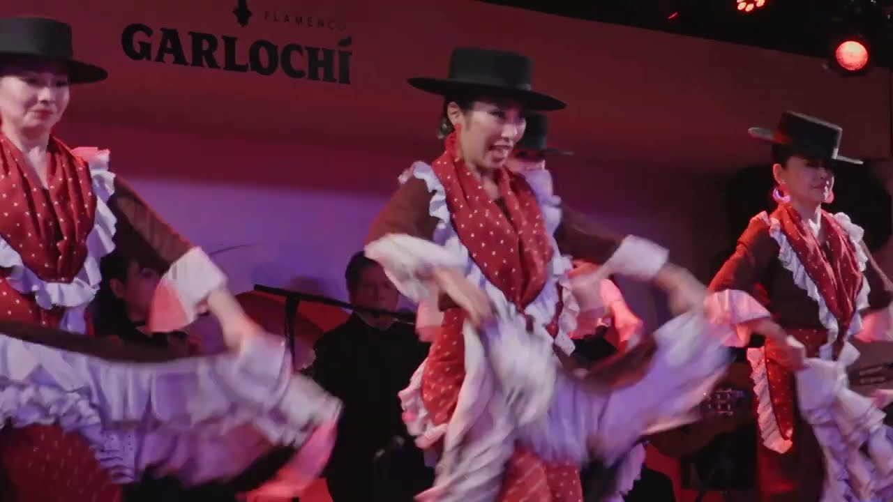 書籍・映像 | アルテフラメンコ舞踊学院オフィシャルサイト
