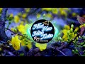 NHƯ HOA MÙA XUÂN | CCP VINAHOUSE | Bảo Thy & Ái Phương &Văn Mai Hương | Nhạc Xuân 2023 Bass Cực Mạnh