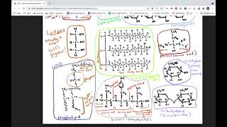 Macromolecule ID Practice Walkthrough (common mistakes)