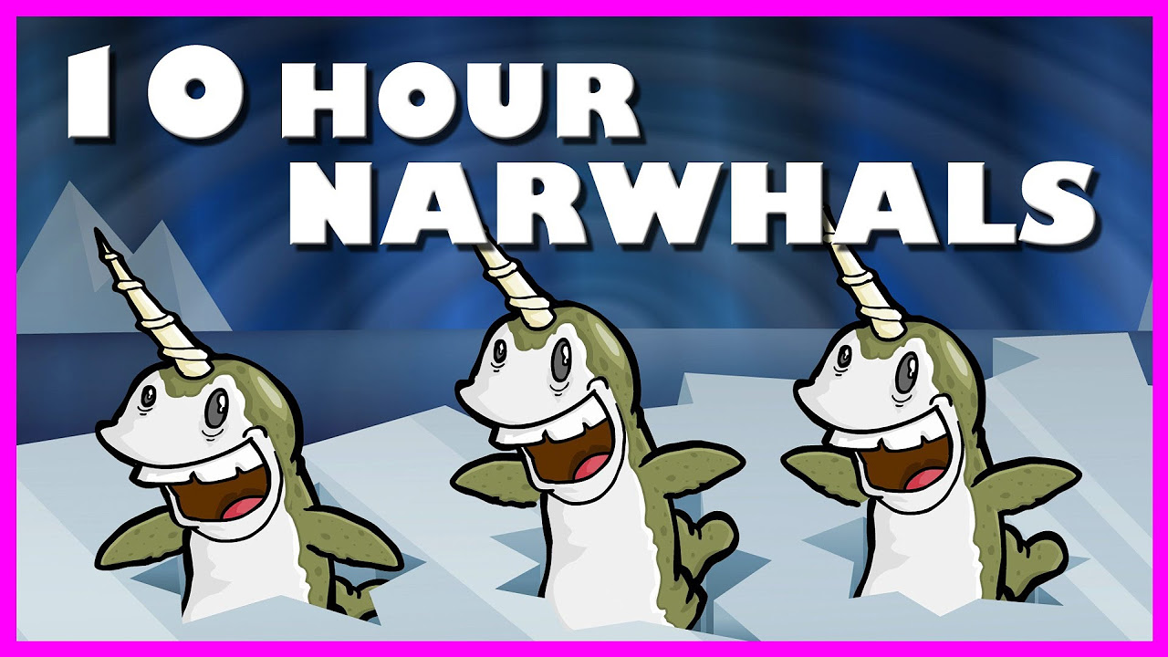 Narwhals  10 Hours