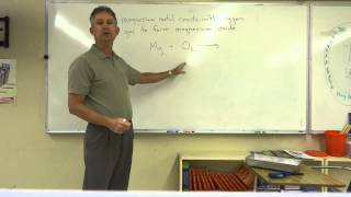 Celebrity Lecture Demonstration Net Worth