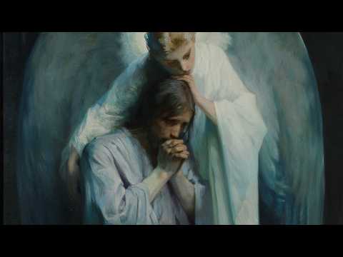 You Don't Know Where You Belong Yet — Walk With Me | 1 John 1–3