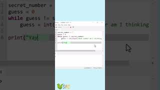 Guess the Number Game | python for kids-lesson8