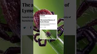 Plum Island is Where Science, Secrets, and Conspiracies Collide #plumisland #lymedisease #history