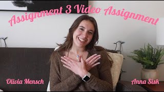 Visual Media Video Assignment 3