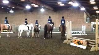 Equitation Flat Class
